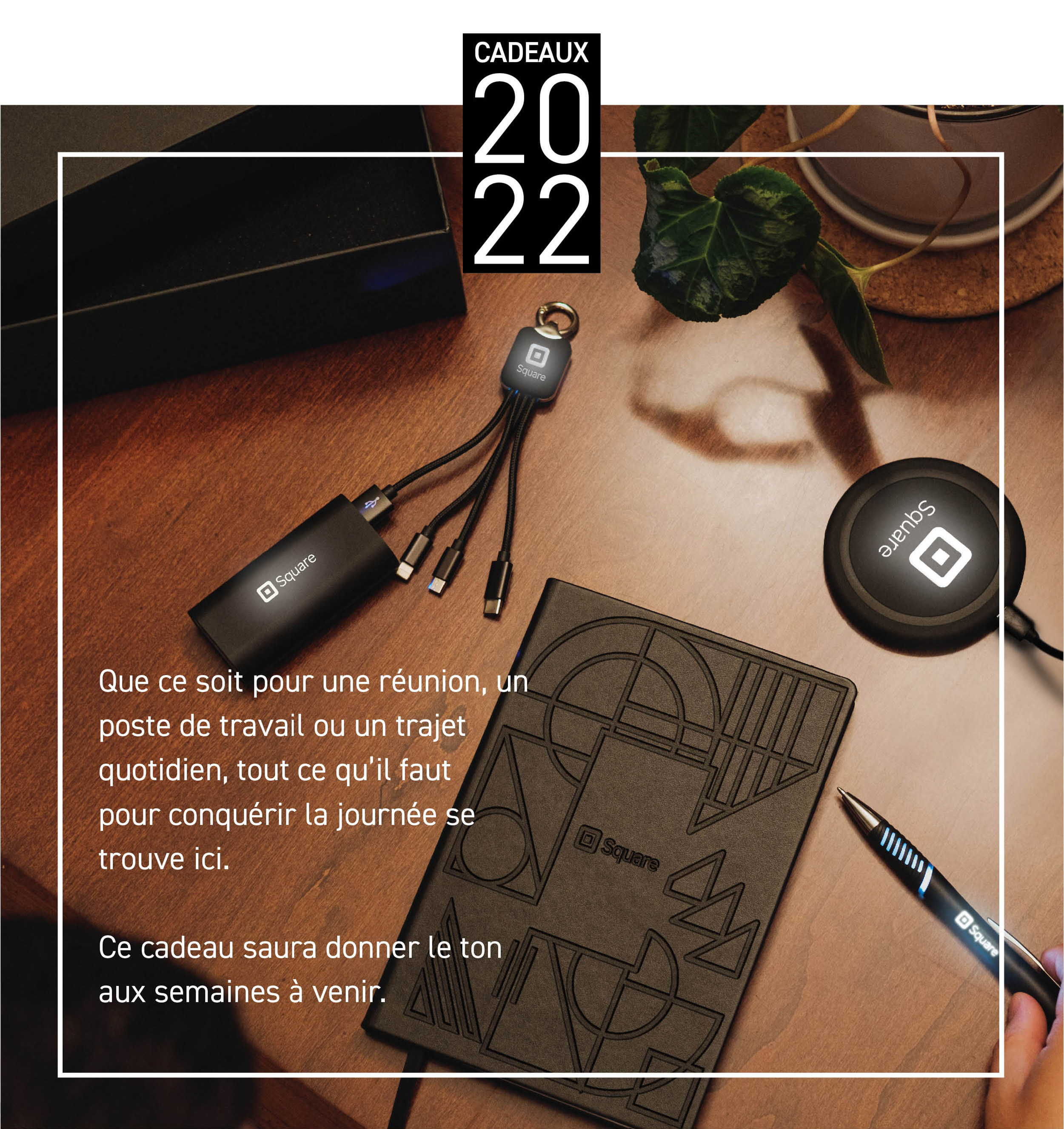 BRILLEZ DE MILLE FEUX